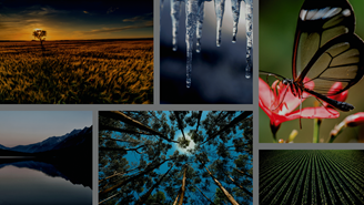 Biodiversity COP15 Sustainalytics